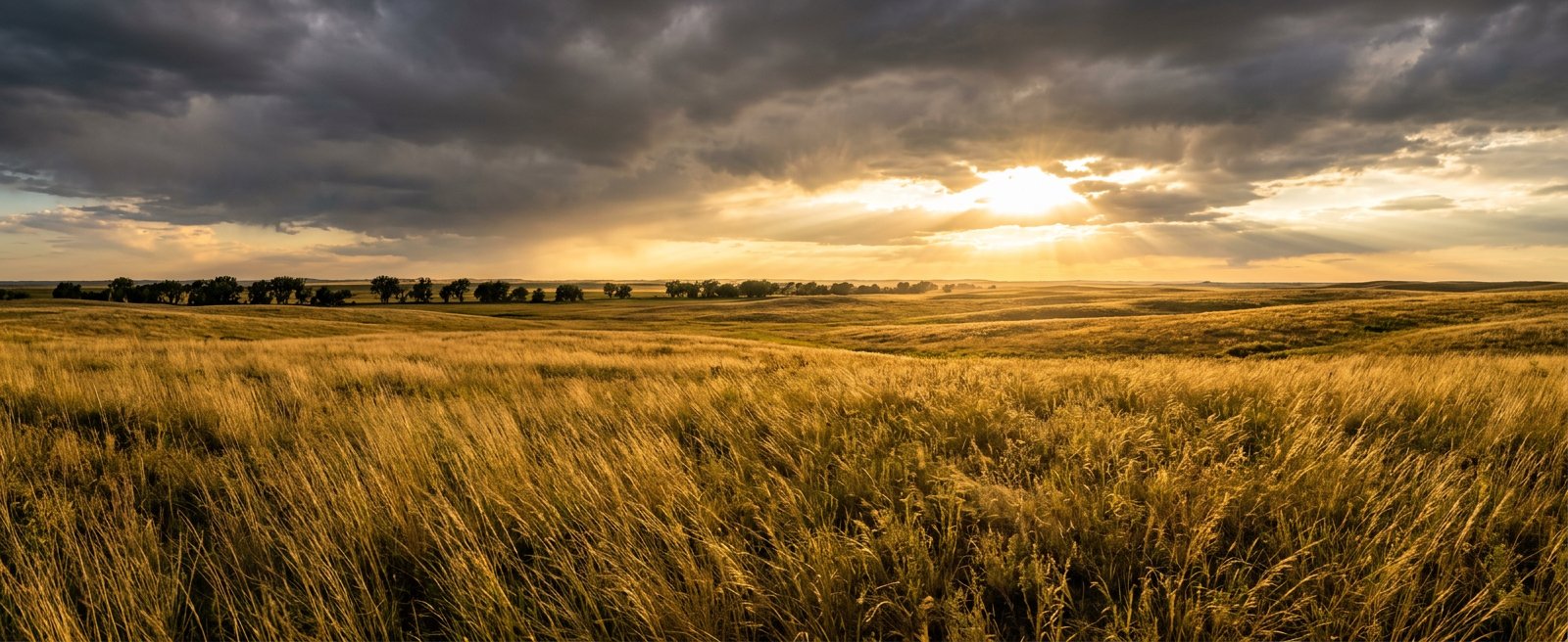 Land Hunter Pro · vast empty rural land at golden hour, opportunity for purchase